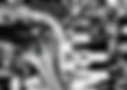 bg-image-sbg_edited.png